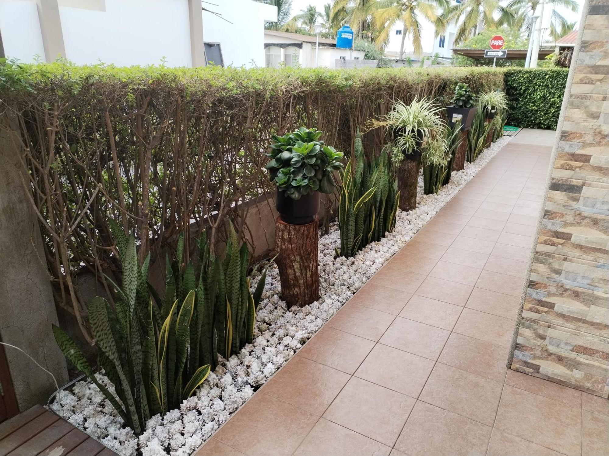 Hotel Starfish Puerto Villamil Exterior foto